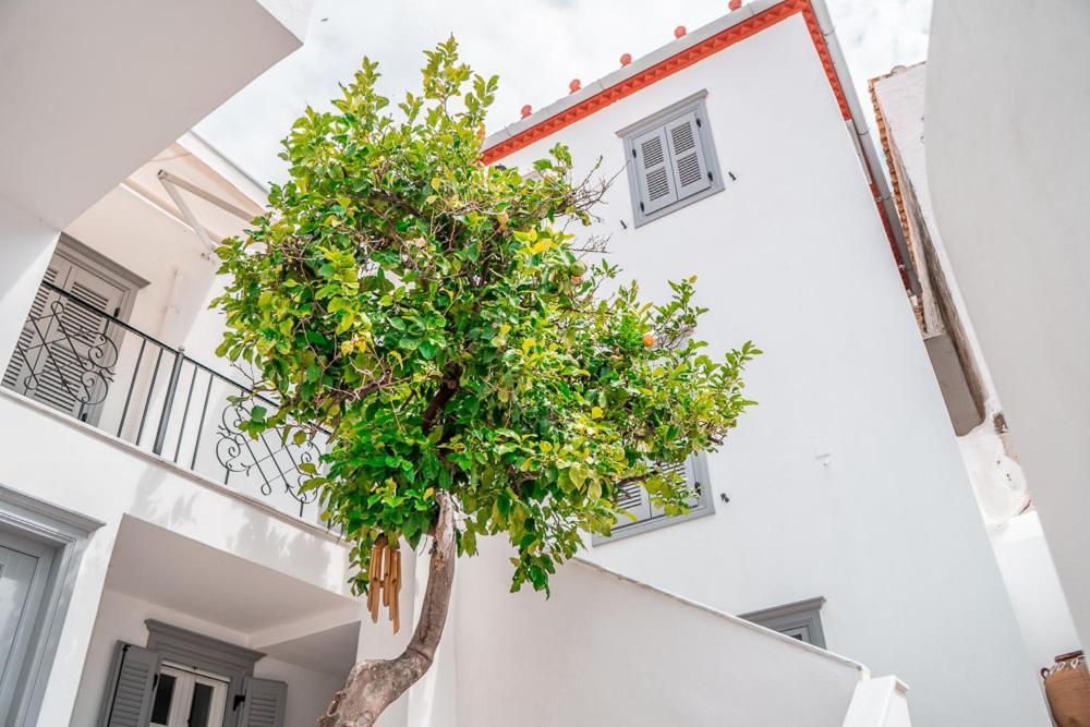 Lemon Tree - Hydra Dream Houses Buitenkant foto